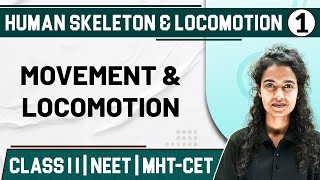 HUMAN SKELETON AND LOCOMOTION 01| Movement And Locomotion | Zoology | Class11th/MHTCET/NEET