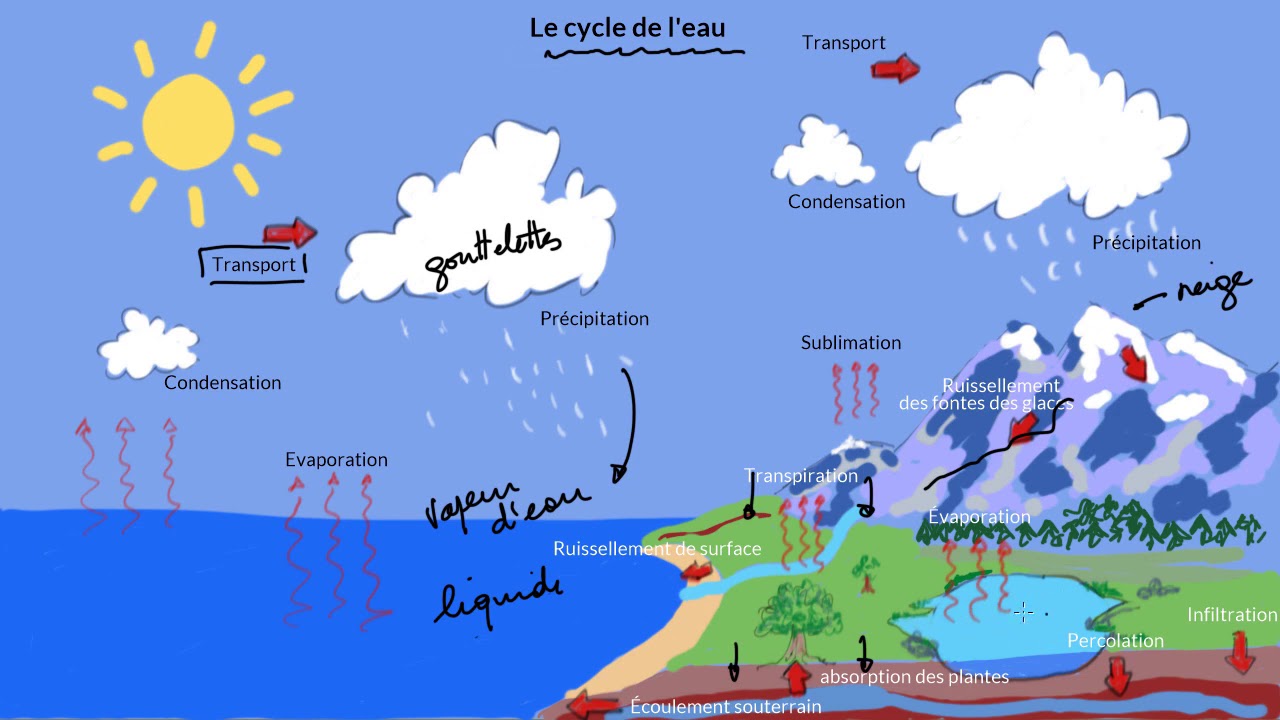 Le cycle de l'eau