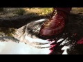 Βίντεο παιχνιδιού για Far Cry 4  XBox  SEASONPASS