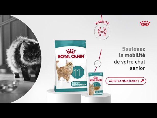 Royal Canin Ageing 11+