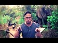 Adera - Can't Stop the Feeling! (Justin Timberlake Cover)