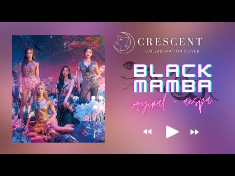 【 COVER COLLAB 】  ✧ crescent ✧  - black mamba 𓆙