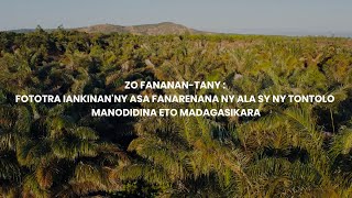 Zo fananan-tany: Fototra iankinan'ny asa fanarenana ny ala sy ny tontolo manodidina eto Madagasikara