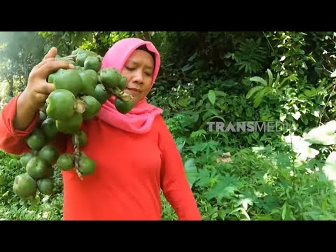[FULL] MASAKAN NIKMAT ALA EMAK ENAH | ENAH BIKIN ENAK (13/03/25)