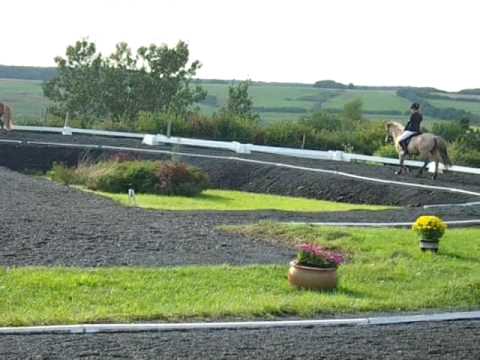 Leó vom Faulenberger Hof- Osi Grenzlandhof 2008