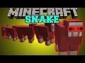 Minecraft: SNAKE (AVOID THE DEADLY SHEEP OR ...