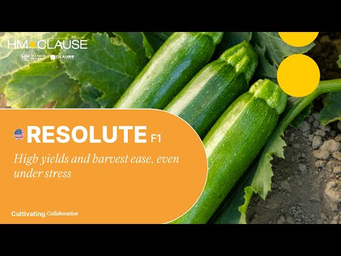 Video: RESOLUTE F1