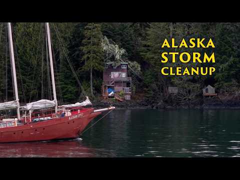 Un albero cade su una casa a Port Protection | Bonifica dei danni causati dalla tempesta in una z...