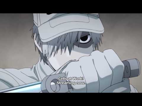 CM1 OP ver. (Aniplex) Sub