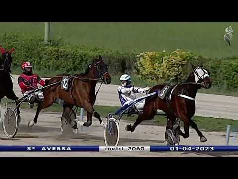 Aversa trotto 1 Aprile 2023 - 5° Corsa