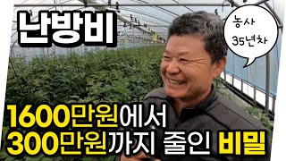 하우스 난방, 기름 말고 전기 쓰는 이유 (feat. 농사 35년)