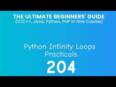 204 Python Infinity Loop Practical