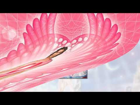 Meditation to heal the relationship with parents ❤🙏