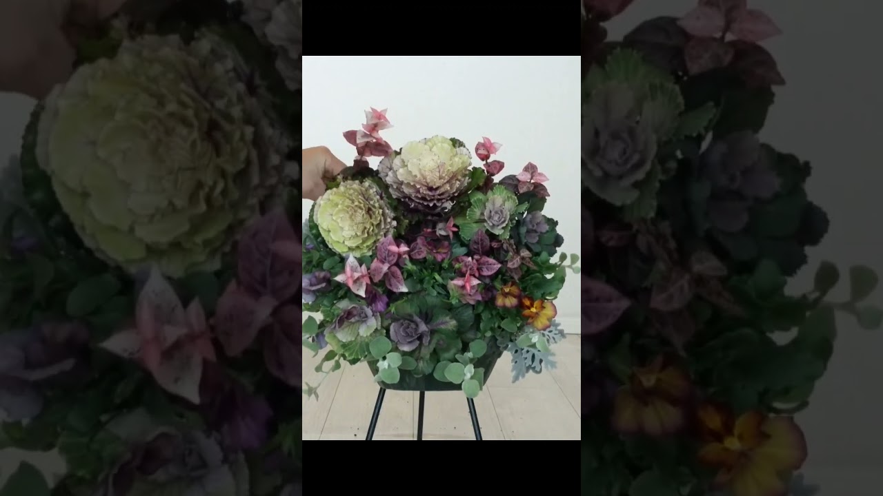 #ハンギングバスケット #寄せ植え #ガーデニング