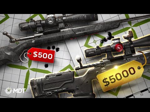 $500 vs $5,000 Rifle
