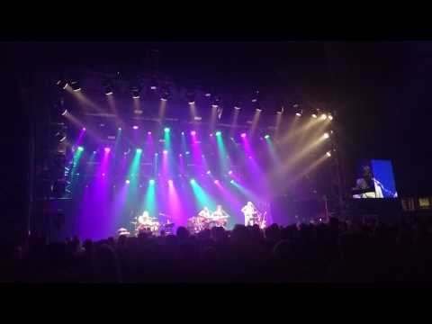 Wally Warning - LIVE - cruising - feat. Werner Schmidauer Martin Kälberer Ami Warning