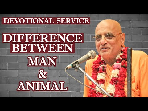 Devotional Service: Difference Between Man and Animal - SB 5.5.1 | 1st Sep 2019 #ISKCONUjjain