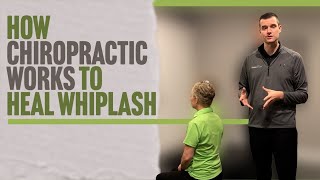 How Chiropractic Works to Heal Whiplash | Chiropractor for Whiplash in Springfield, IL