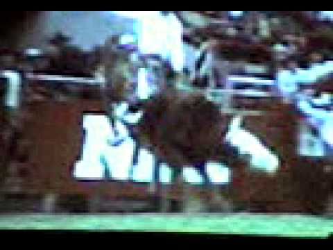 Tuff Hedeman Champion NFR 1986