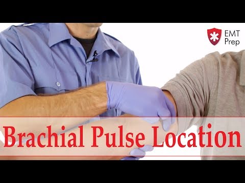 Brachial Pulse Location - EMTprep.com