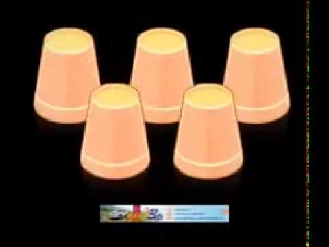 Magic Cups Video