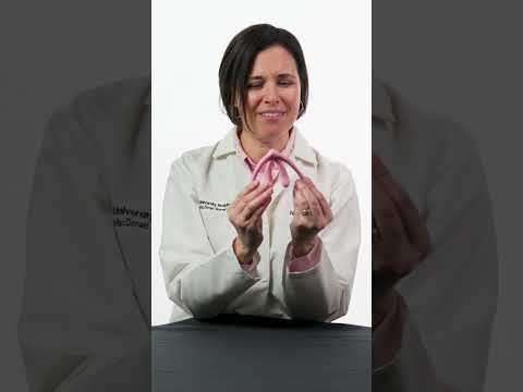 Women's Sexual Health: Clitoris Overview
