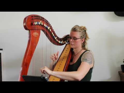 Cairn Water - Nicki van Popering, Harp