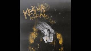 Kesha - Kiss N Tell (Acoustic )