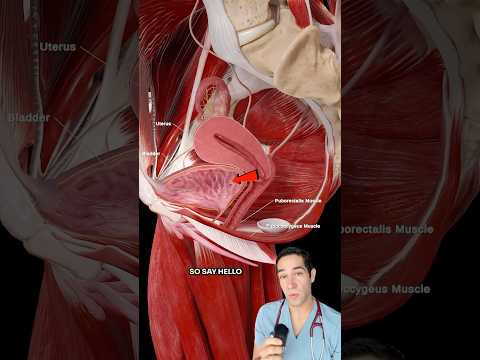 Can laughing make you pee?!