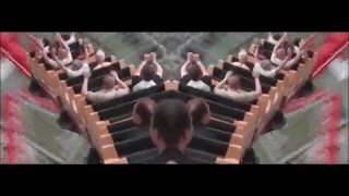 Skream - Rollercoaster ft. Sam Frank (Unofficial)
