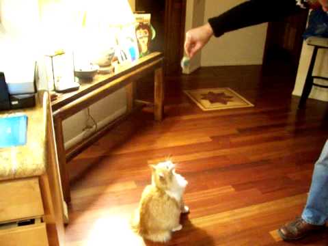 download lagu mp3 mp4 Lola03, download lagu Lola03 gratis, unduh video klip Lola03