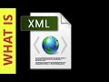 What is XML? [Explained for beginners]