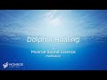 Dolphin Healing