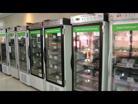 Campanhas de vacinação são prorrogadas em Rio Claro