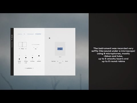 Free Download Tish v1.0.0 AU VST3 x64 WiN MAC-TeamViP