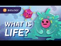 Introduction To Biology Crash Course Biology 1
