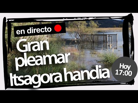 🔴 Programa especial 🌊 Gran pleamar · Itsagora handia, y 🦅🥚🥚🥚! | 27-04-2021