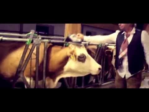 Volxpop - "Wir Steirerbuam rock'n!" (Official Video)