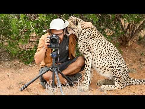 Les photographes qui sont interrompus de façon hilarante par des animaux sauvages 🤪