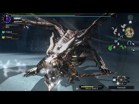 Monster Hunter Generations Ultimate: Kushala Daora Boss Fight #64