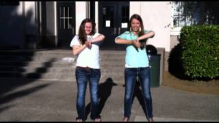 Flamingo by Rob Cantor