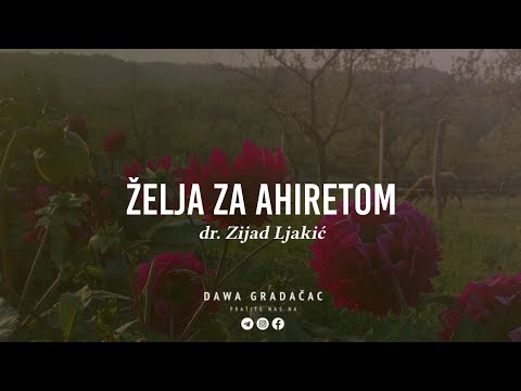 ŽELJA ZA AHIRETOM - dr. Zijad Ljakić
