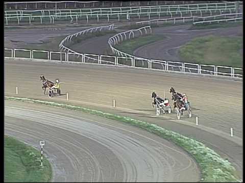 Trotto 21/10/2016 - prova di qualifica