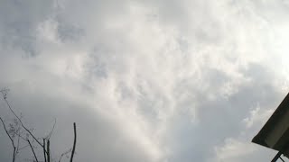 やはり晴れかな〜 ?