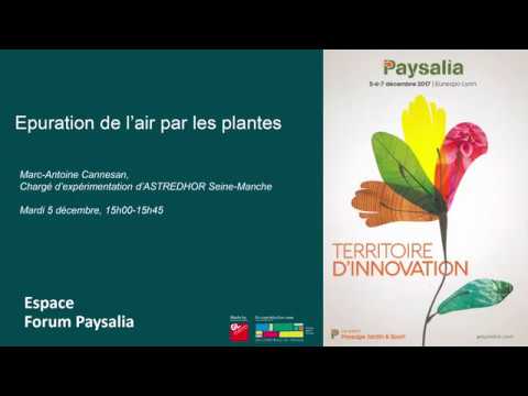 , title : 'Paysalia 2017 - Conférence Épuration de l'air par les plantes'