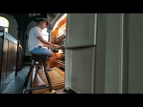 EG 316 -  Lobe den Herren