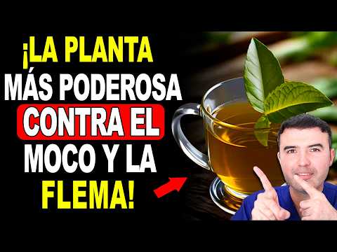 The #1 Plant to Eliminate all the Phlegm and Mucus from Your Throat! (Here's How to Take It)