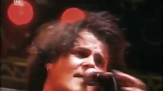 Zucker - Patent Ochsner live 1995