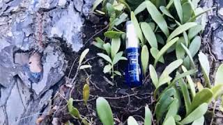 Download lagu Hilang bau busuk weh...deodorant magic mp3 Download lagu Hilang bau busuk weh...deodorant magic mp3