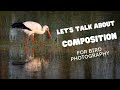 Composition tips for bird photography